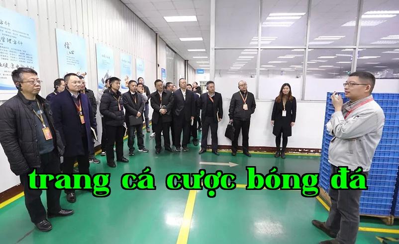 Năng lượng New Energy Changhong