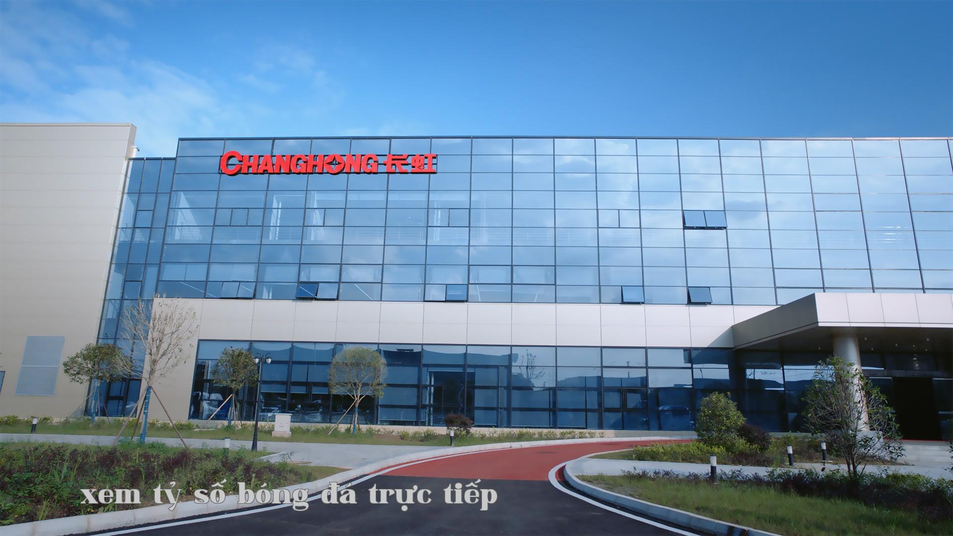 Trí tuệ chuyển đổi số