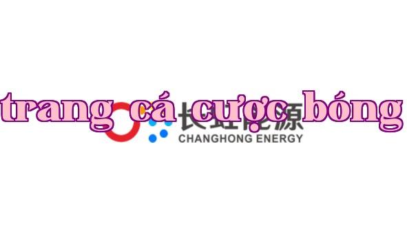 Công ty Cổ phần Công nghệ Năng lượng Trường Long Sichuan thông báo về các thay đổi nhân sự quan trọng năm 2021