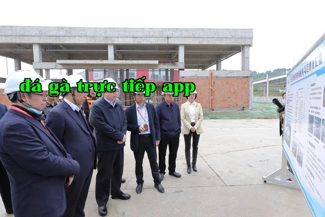 Đoàn công tác do Phó Bí thư Thành ủy, Thị trưởng Viên Phương của Thành phố Miên Dương khảo sát dự án pin lithium của Changhong Năng lượng tại Miên Dương