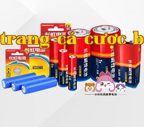 Công ty Cổ phần Công nghệ Năng lượng Changhong Sichuan