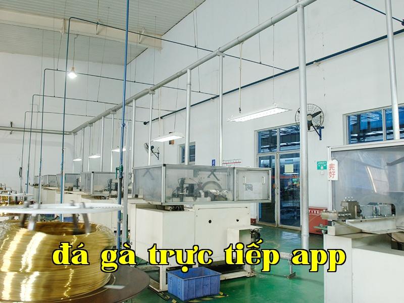 Sản xuất cọc thu điện