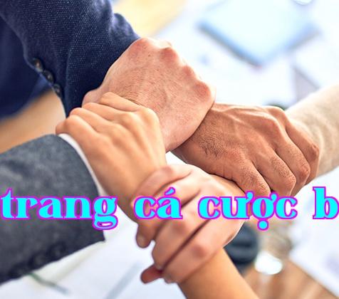 Công ty Cổ phần Công nghệ Năng lượng Changhong Sichuan