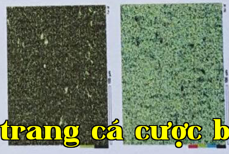 Năng lượng New Energy Changhong