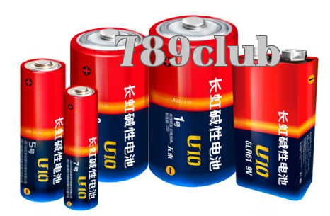 Sự cẩn thận được phản ánh qua sơ đồ quy trình sản xuất pin
